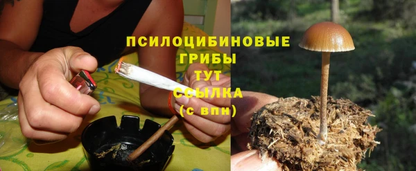 дживик Алексеевка